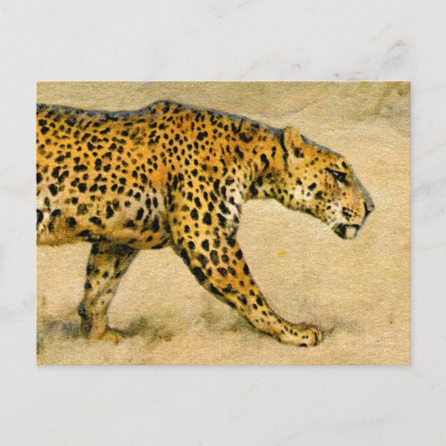 Cheetah vintage pastel teckning vykort (Framsida)