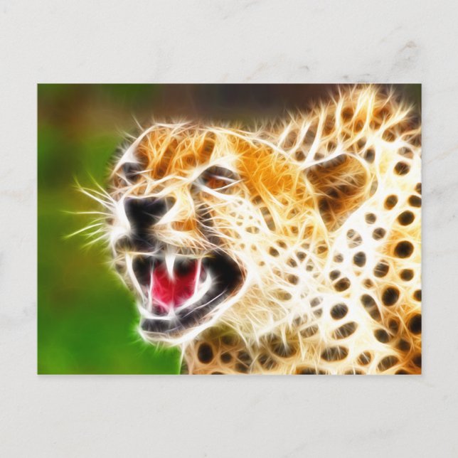 Cheetah Vykort (Framsida)