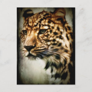 Cheetah Vykort