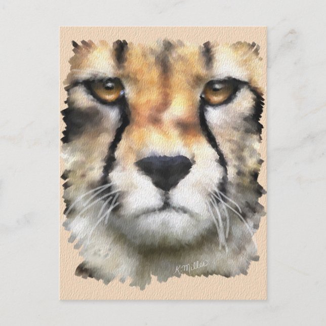 Cheetah Vykort (Framsida)