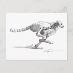 Cheetah Vykort
