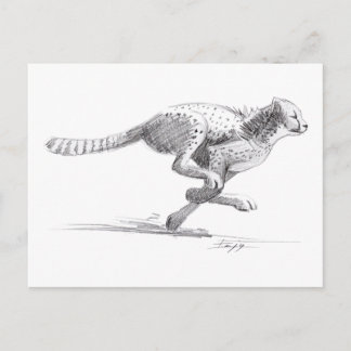 Cheetah Vykort