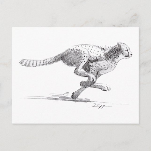 Cheetah Vykort (Framsida)