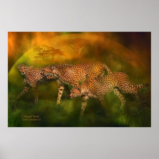 Cheetah World Art Poster/skriver ut Poster (Framsidan)