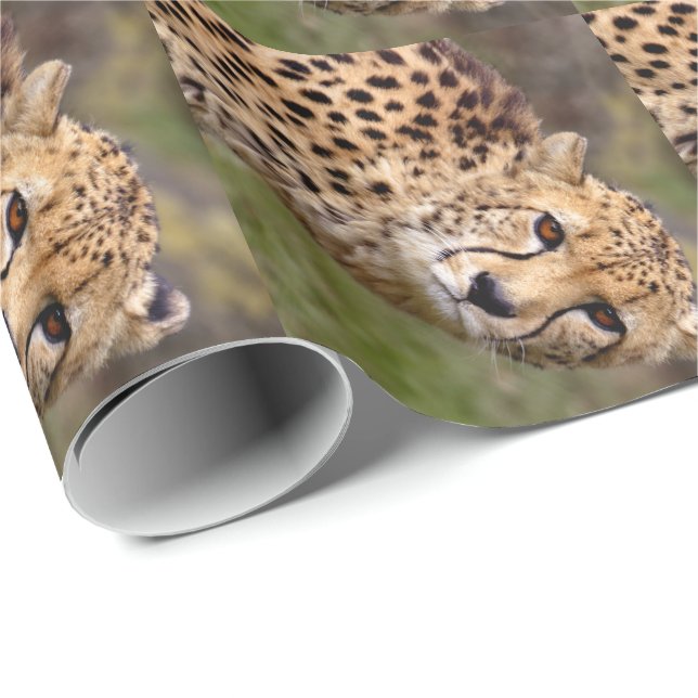 Cheetah Wrapping Papper Presentpapper (Rullad Hörn)