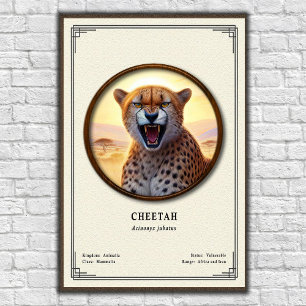 Cheetah Zoologi Serie Poster