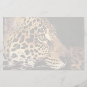Cheetahansikte Brevpapper