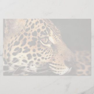 Cheetahansikte Brevpapper