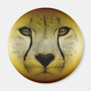CHEETAHANSIKTE MAGNET