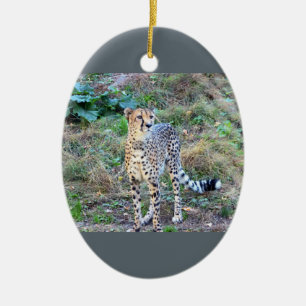 Cheetahfoto Julgransprydnad Keramik