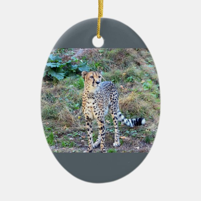 Cheetahfoto Julgransprydnad Keramik (Framsidan)