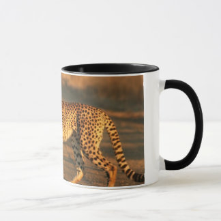 CHEETAHKAFFEMUGG MUGG