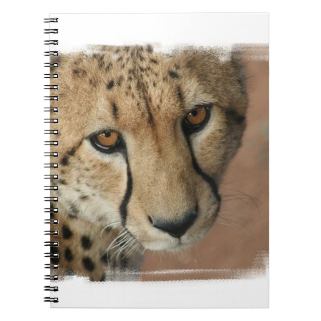 Cheetahkattanteckningsbok Anteckningsbok Med Spiral (Framsidan)