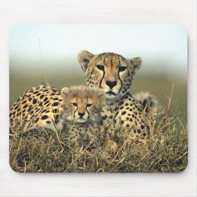 Cheetahmamma och unge Mousepad Musmatta (Framsidan)