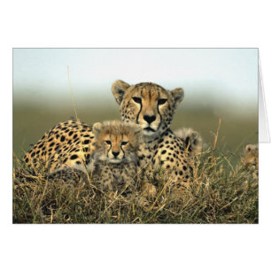 Cheetahmamma- och ungekort hälsningskort