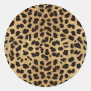 Cheetahpälsmönster, Cheetahtryck Runt Klistermärke
