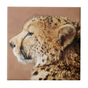 CheetahPrince Kakelplatta
