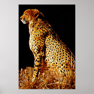 Cheetahs hållning poster