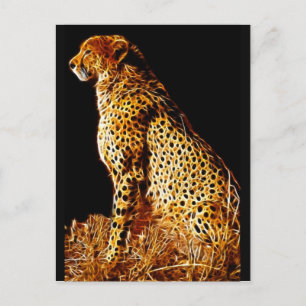 Cheetahs hållning vykort