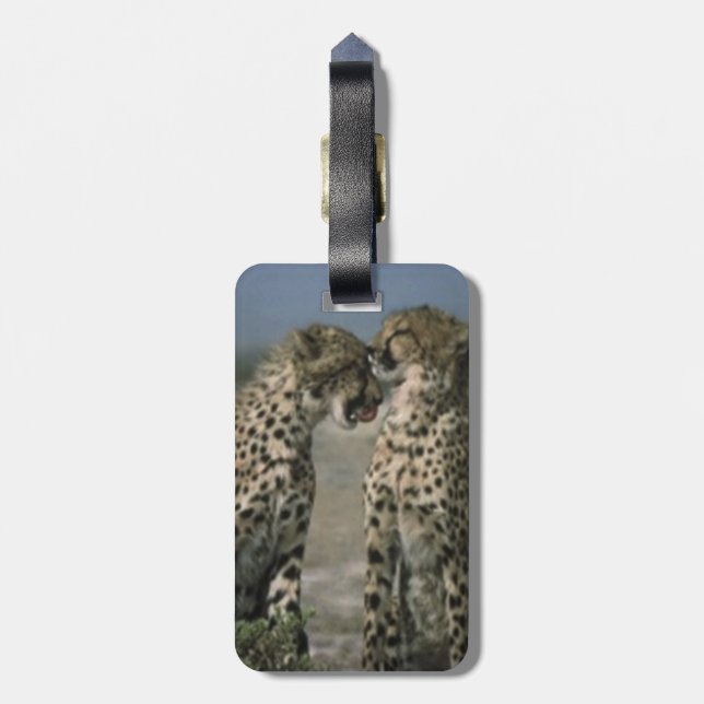 Cheetahs i Kärlek Bagagebricka (Baksidan Lodrät)