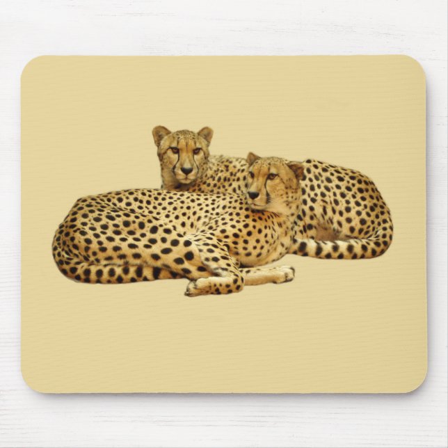 Cheetahs Musmatta (Framsidan)