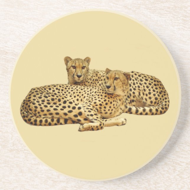 Cheetahs Underlägg Sandsten (Framsidan)