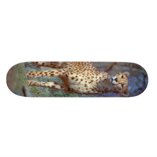 CheetahSkateboard Skateboard Bräda 20 Cm
