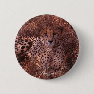 Cheetahstirrande Knapp