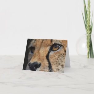 Cheetahtackkort Tack Kort