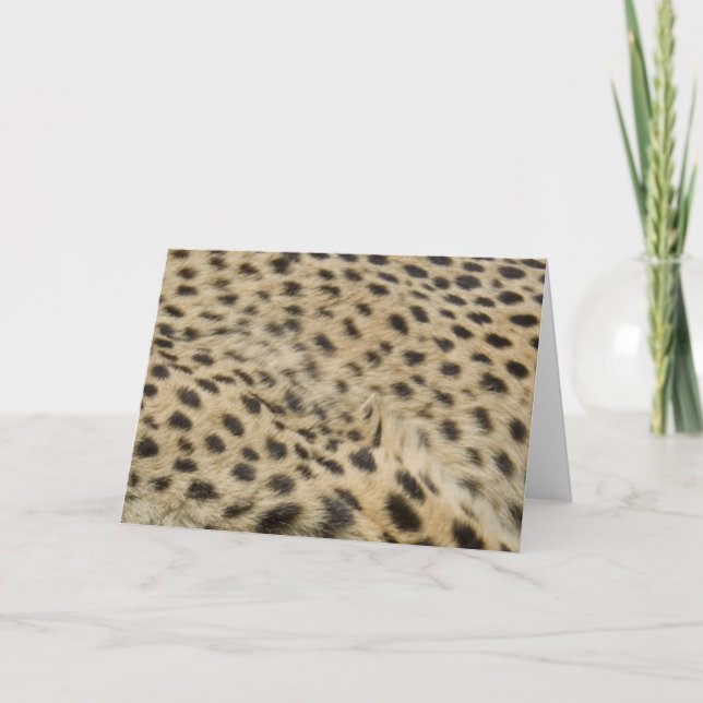 Cheetahtryck Kort (Framsida)