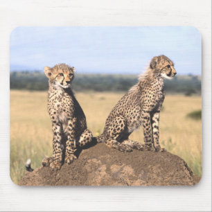 Cheetahungar Mousepad Musmatta
