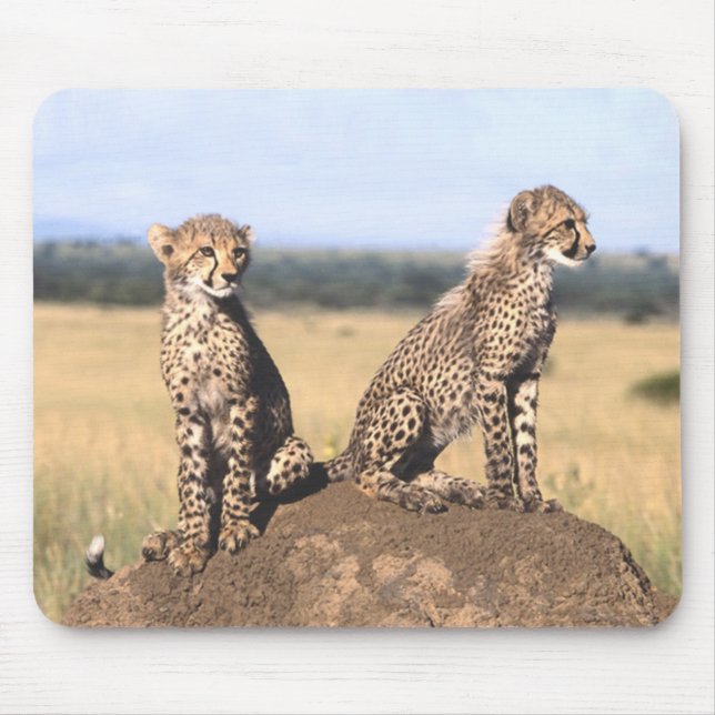 Cheetahungar Mousepad Musmatta (Framsidan)
