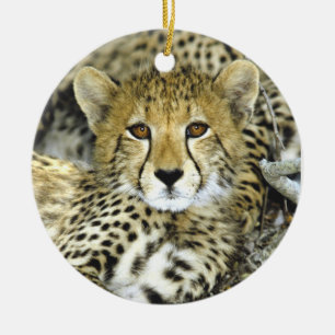 Cheetahunge 2 julgransprydnad keramik