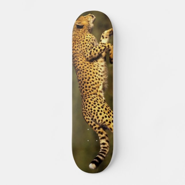 cheetastil mini skateboard bräda 18,7 cm (Framsida)