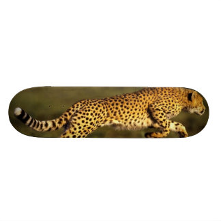 cheetastil mini skateboard bräda 18,7 cm