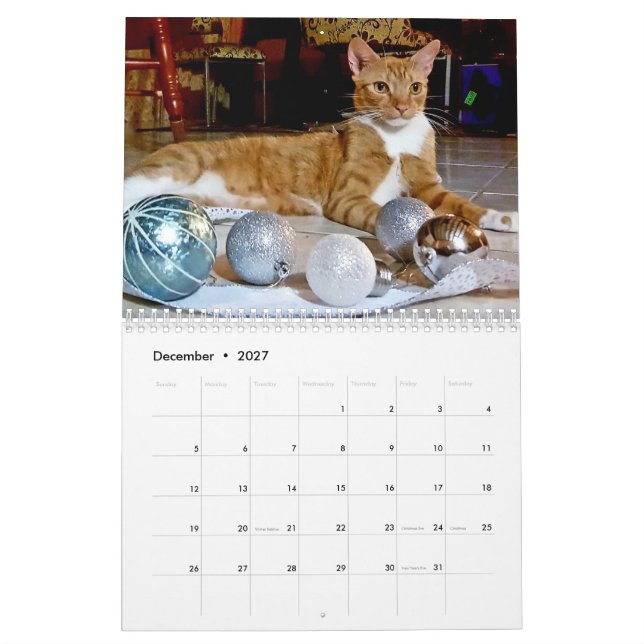 Cheeto Dacutecat 2020 Kalender (Dec 2027)