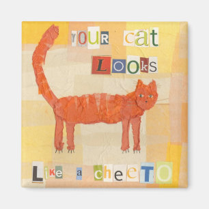 Cheeto kattmagnet magnet
