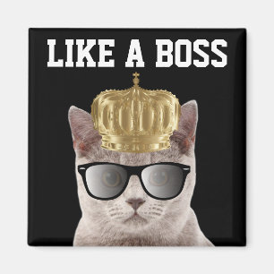 CHEF CAT BIRTHDAY MAGNETS MAGNET