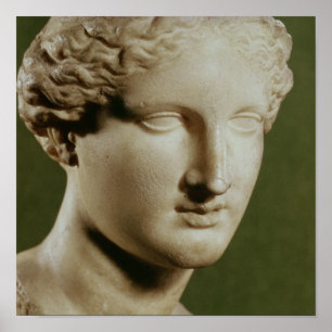 Chef för Artemis Poster