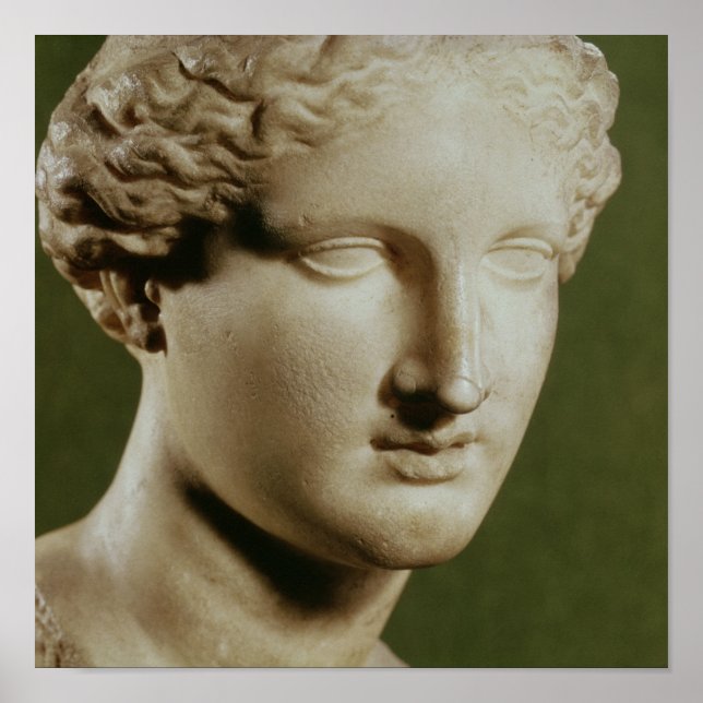 Chef för Artemis Poster (Framsidan)