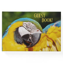 Chef för Blue and Gult Macaw