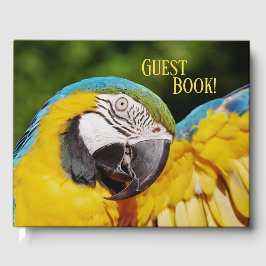 Chef för Blue and Gult Macaw Gästböcker