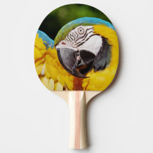 Chef för Blue and Gult Macaw Pingisracket