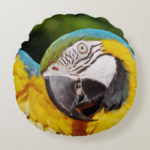 Chef för Blue and Gult Macaw Rund Kudde