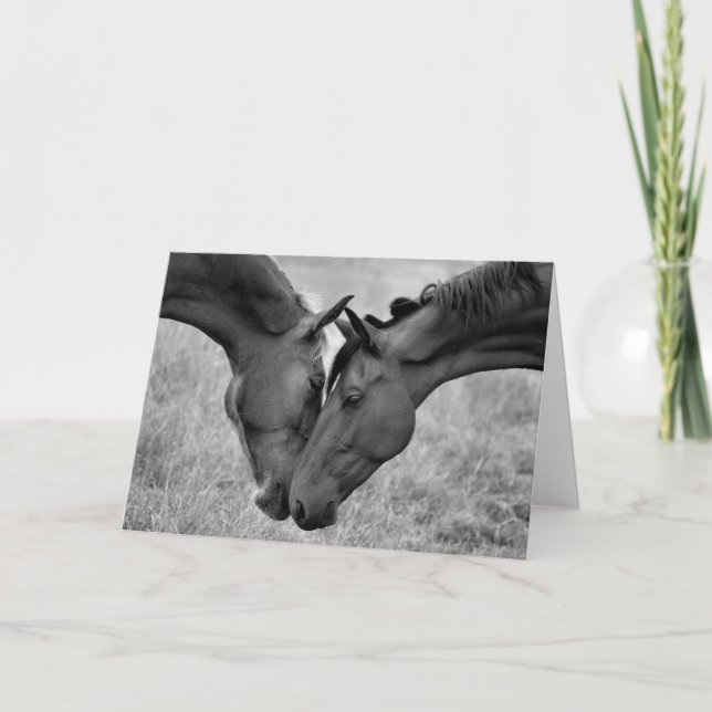 Chef för chef kort (Framsida)