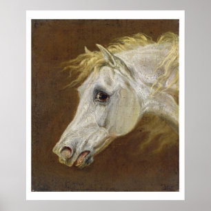 Chef för en Grått Arabian Horse (olja på kanvas på Poster
