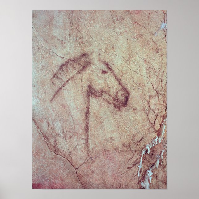 Chef för en häst, från Cueva de la Pena Poster (Framsidan)