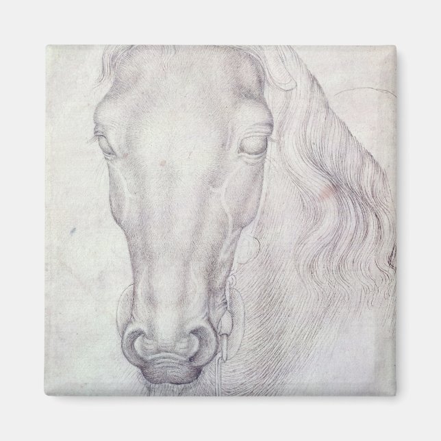 Chef för en häst magnet (Framsidan)