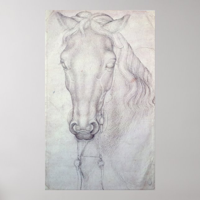 Chef för en häst poster (Framsidan)