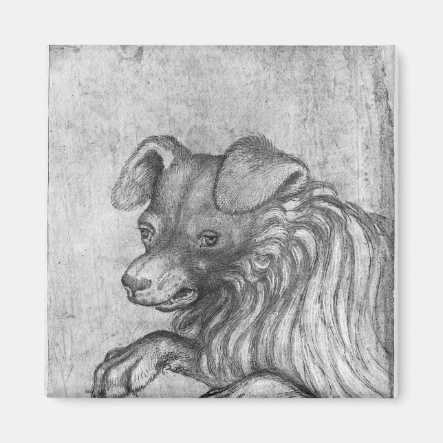 Chef för en hund, från Vallardi Album Magnet (Framsidan)